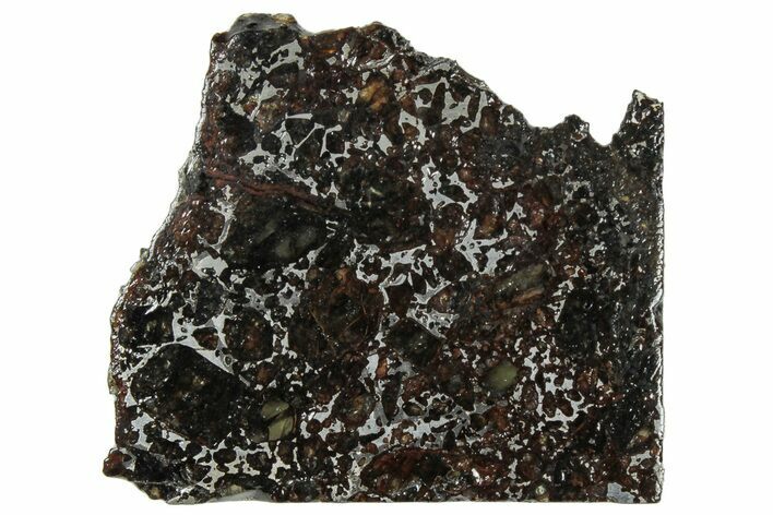 Polished Admire Pallasite Meteorite ( g) Slice - Kansas #307343